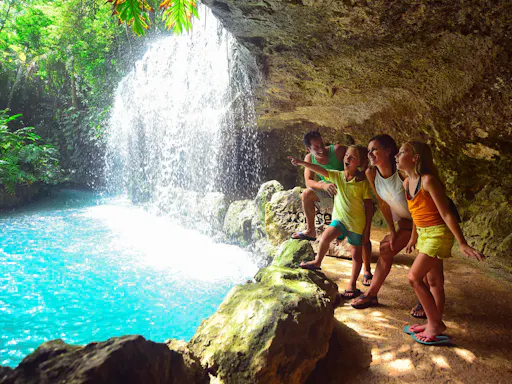 Xenses - Ticket Only