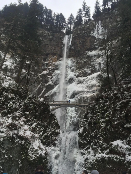 Explore Columbia River Gorge half-day small-group tour