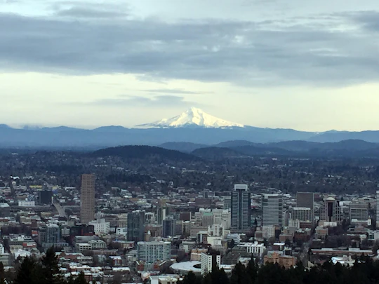 Discover Portland half-day small-group city tour