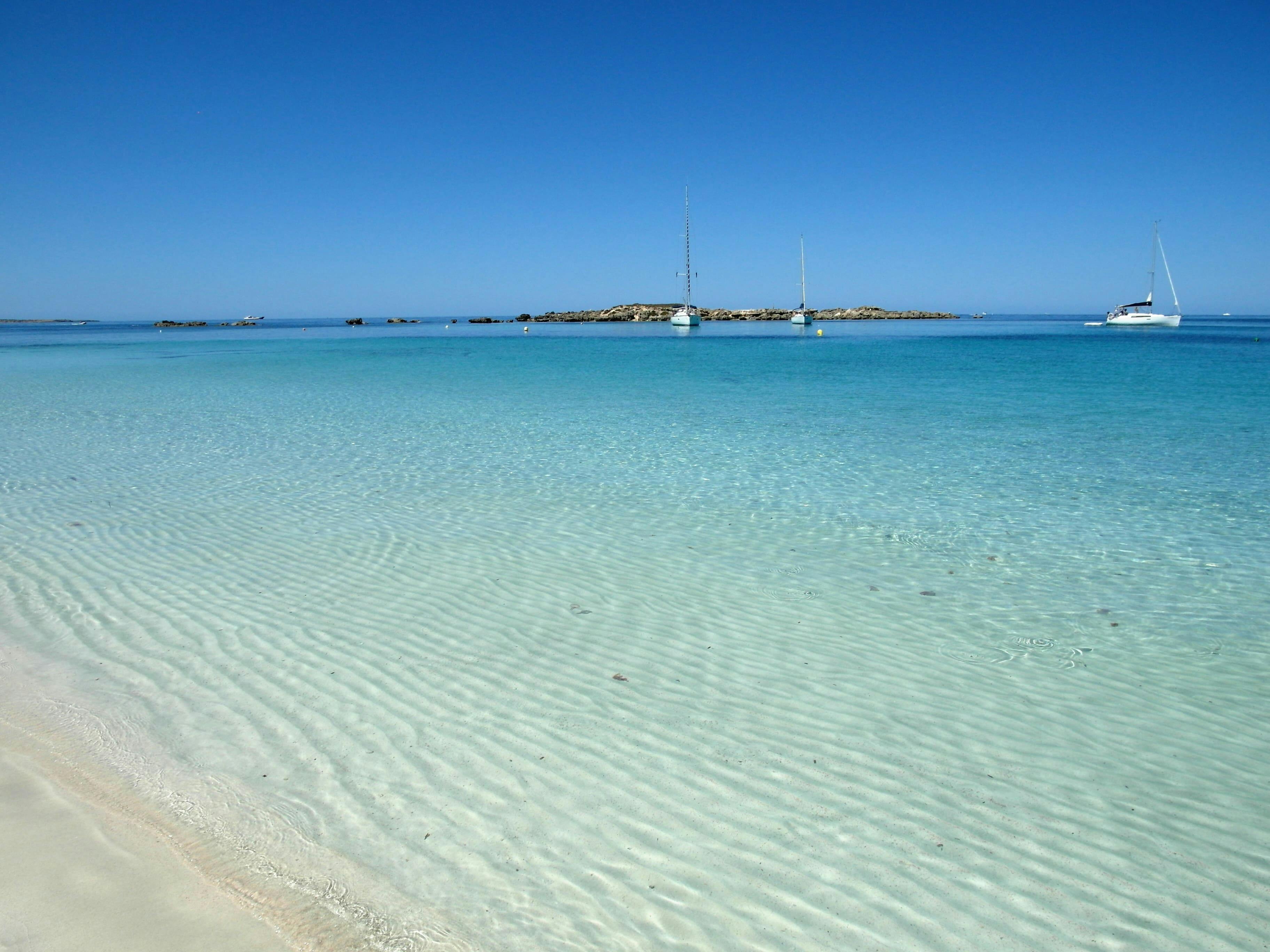 Catamaran Ibiza Day