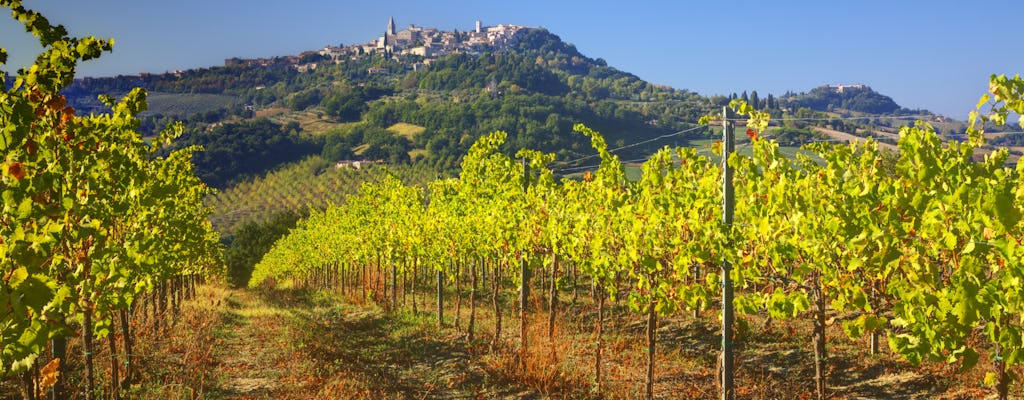 Bus tour of three wineries in Todi