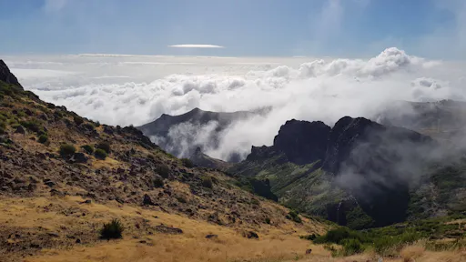 Madeira East Coast 4x4 Tour