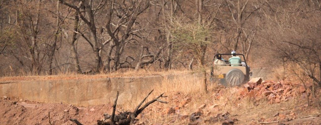 Safari van een halve dag in een 4x4 in Ranthambore National Park