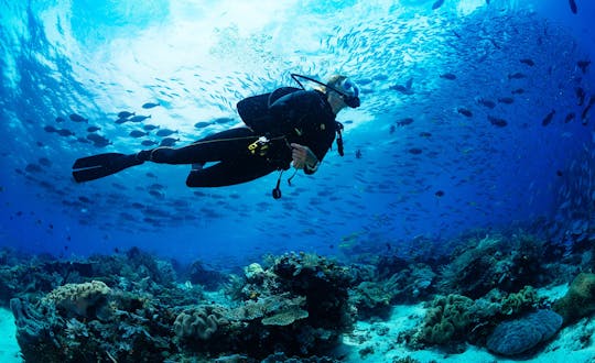 Mini-buceo en Isla Barú