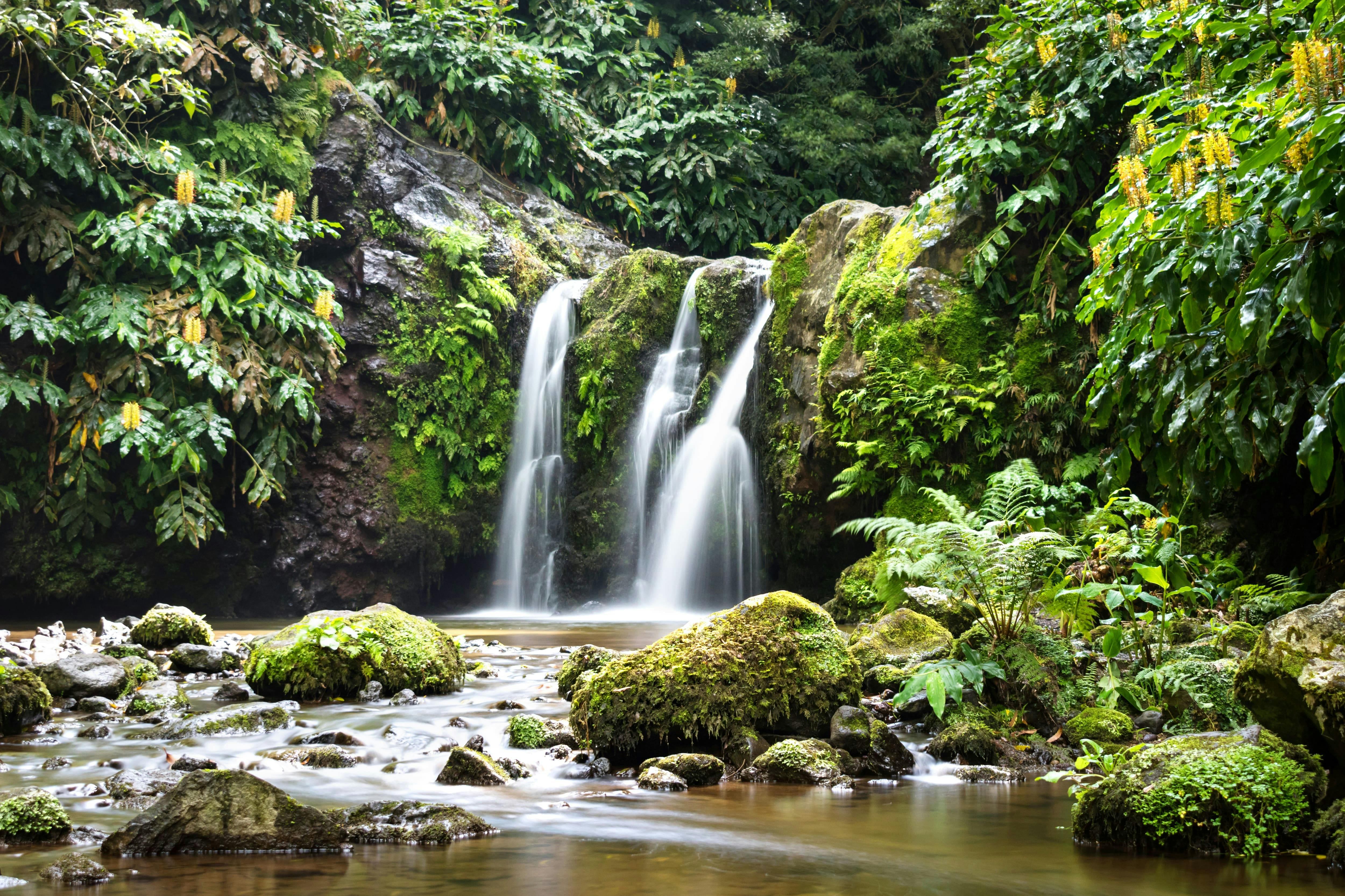 Canyoning au parc naturel de Ribeira dos Caldeirões