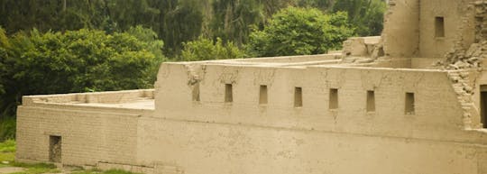 Complexo arqueológico Pachacamac e tour privado no Museu Larco