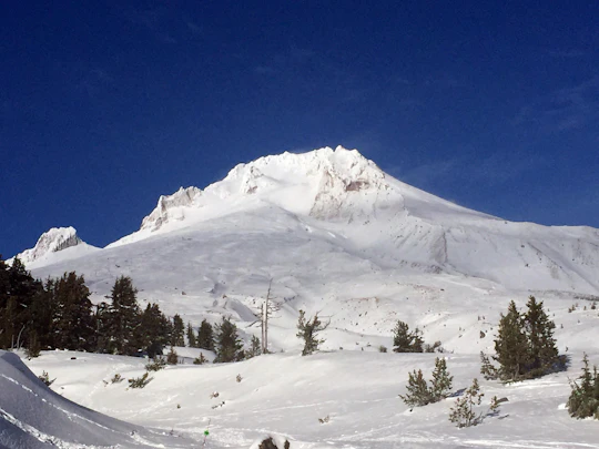 The Hood-Columbia Loop: Timberline, Orchards, and Waterfalls tour from Portland
