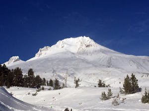 Tours de un día y Excursiones