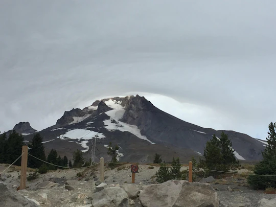 Mt. Hood Waterfall tour with lunch and wine tasting