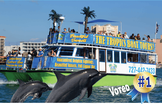 Dolphin Exploration tour