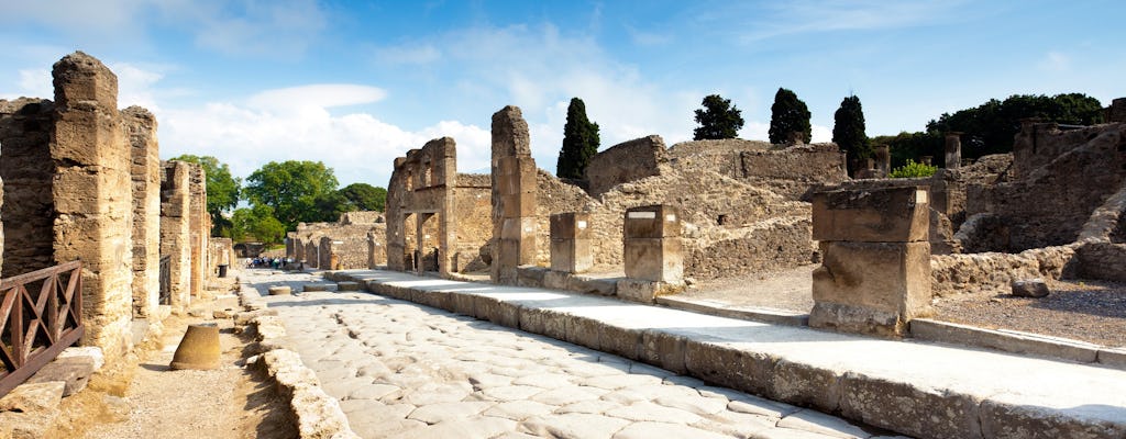 Tour di gruppo di mezza giornata alle rovine di Pompei da Napoli