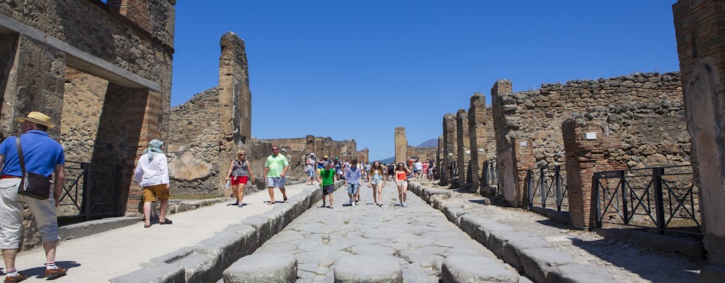 Dagtrip naar Pompeii en de Amalfikust vanuit Napels