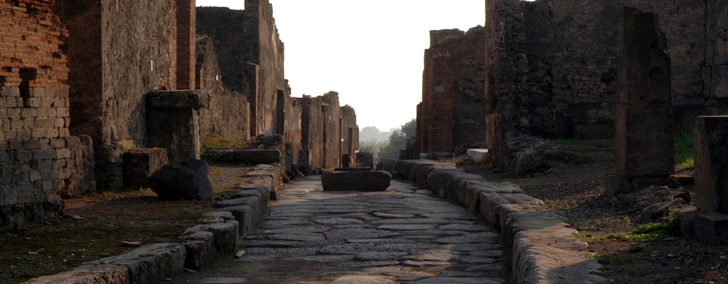 Pompeii and Vesuvius+pizza [regular group tour-in English]