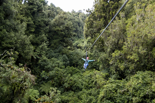 The original canopy experience