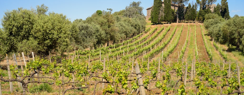 Half-day tour of the Roman vineyards and wine tasting