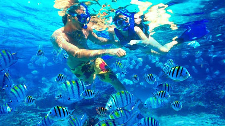Bali full-day Blue Lagoon snorkeling trip
