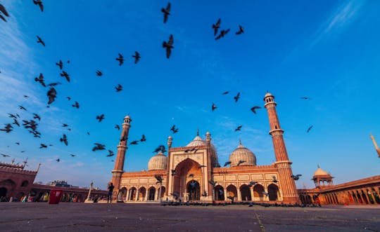 Kulinarische Reise durch die Altstadt von Agra