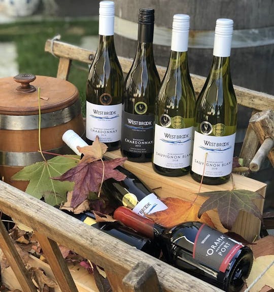 Gannet panorâmico de Muriwai e experiência com vinho