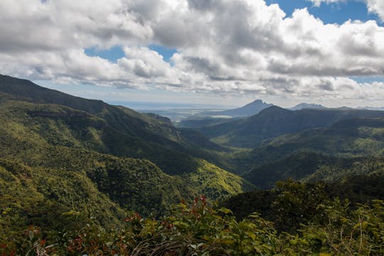 Bosque de ébano de Mauricio y excursión a pie