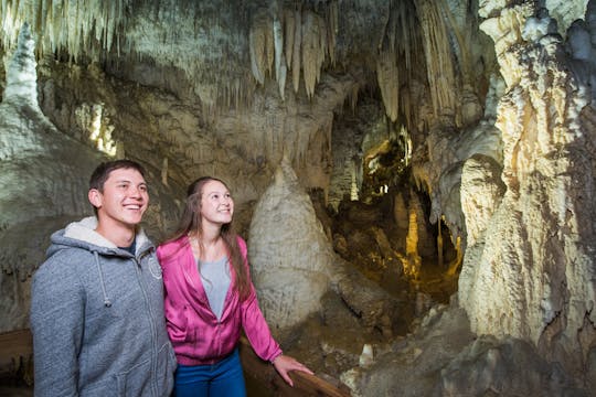 Experiência de caverna tripla - Waitomo Glowworm, Ruakuri e a caverna Aranui