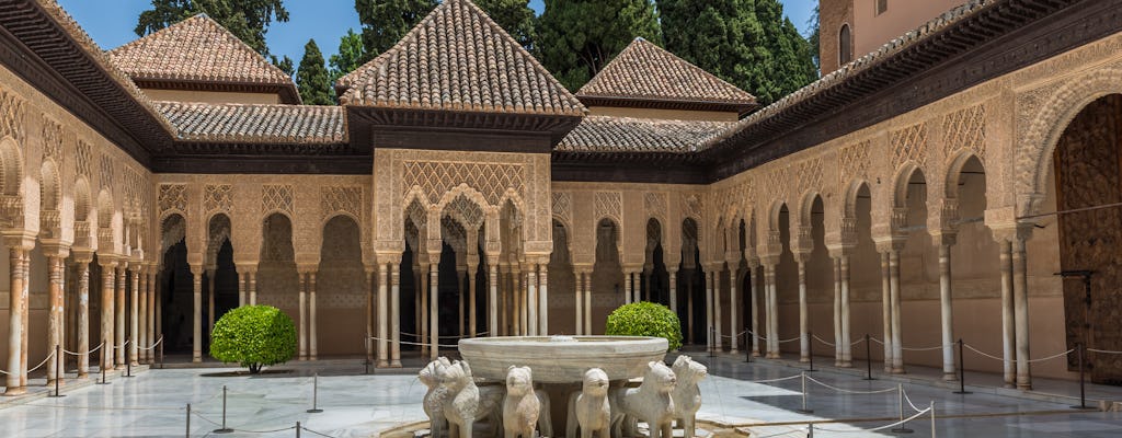 Visite guidée privée de l'Alhambra et du palais du Generalife