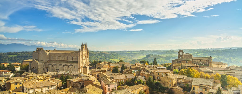 Private day trip from Rome to Orvieto with lunch