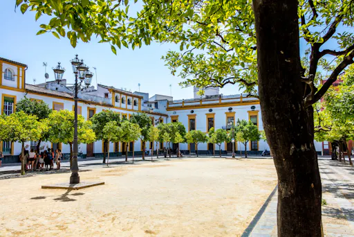 Seville City Tour & Shopping Experience