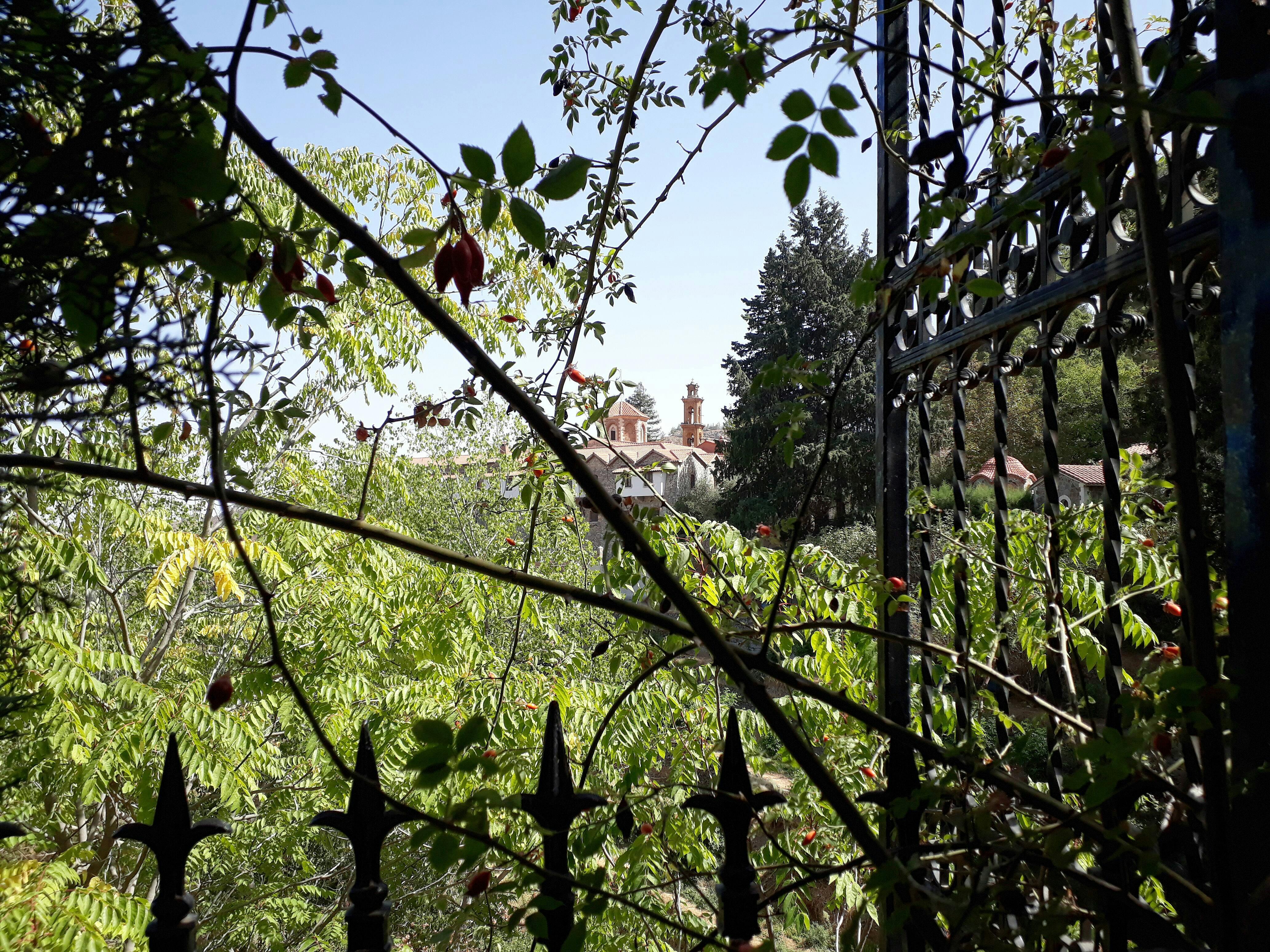 Cyprus Villages & Food Tour