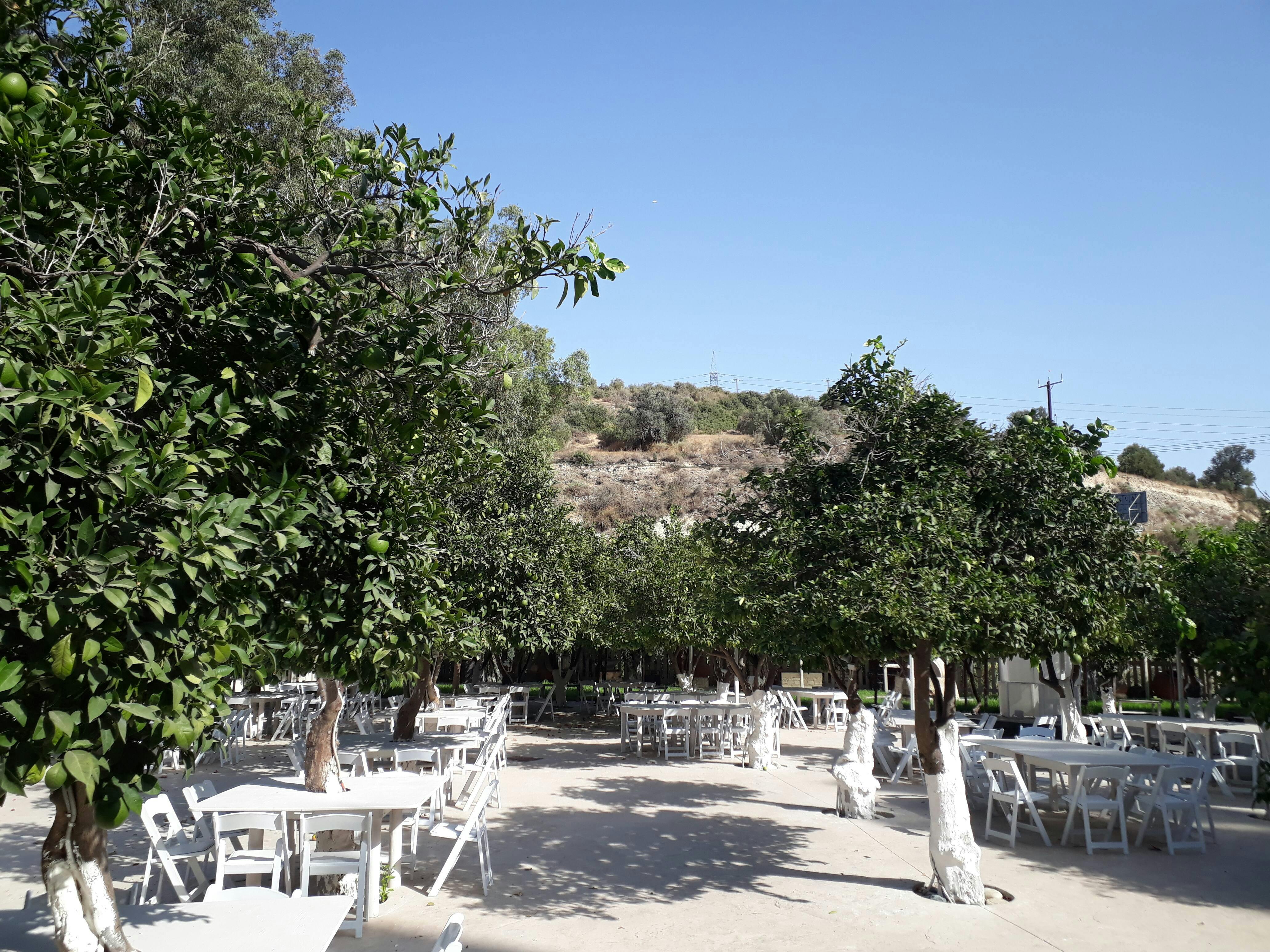 Cyprus Villages & Food Tour