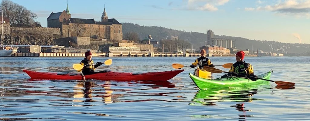 Passeio pela cidade de caiaque no Fiorde de Oslo