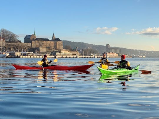 Recorrido en kayak por el mar por el fiordo de Oslo