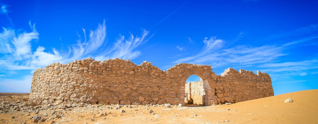 Visite de l'oasis du Sahara de Ksar Ghilene