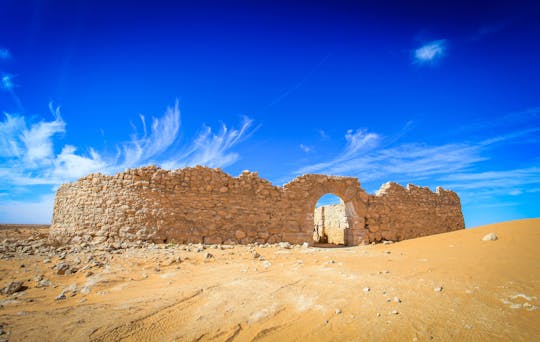 Visite de l'oasis du Sahara de Ksar Ghilene