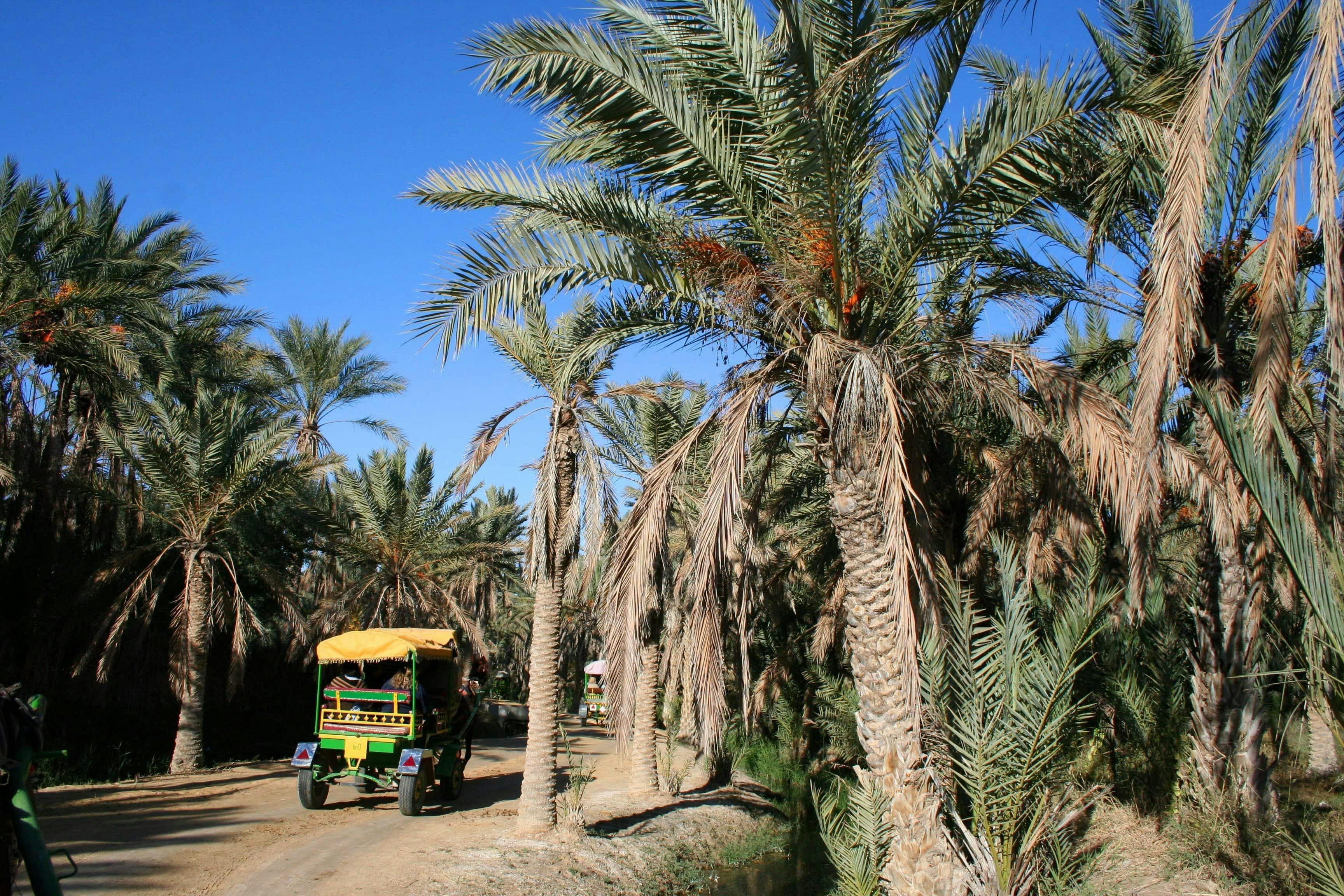 Tunisian Sahara Villages & Oasis Overnight Tour