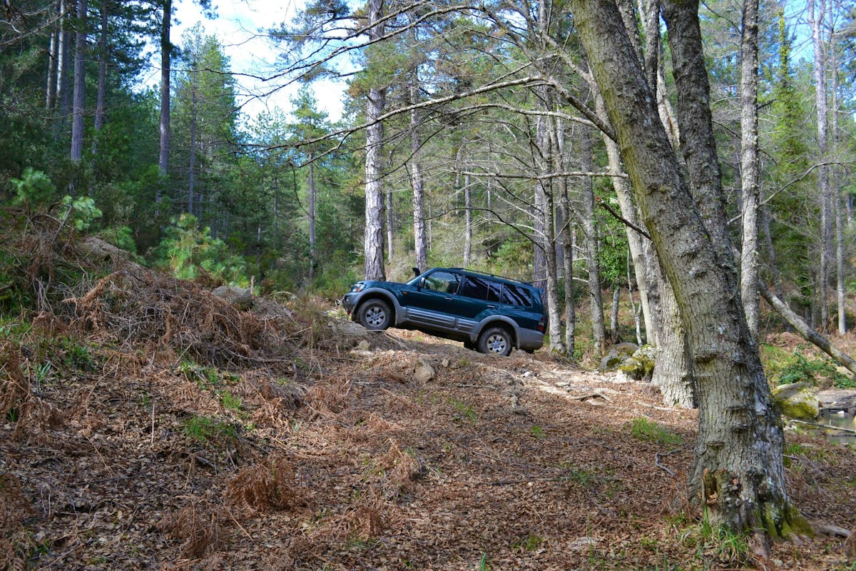 Safari 4x4