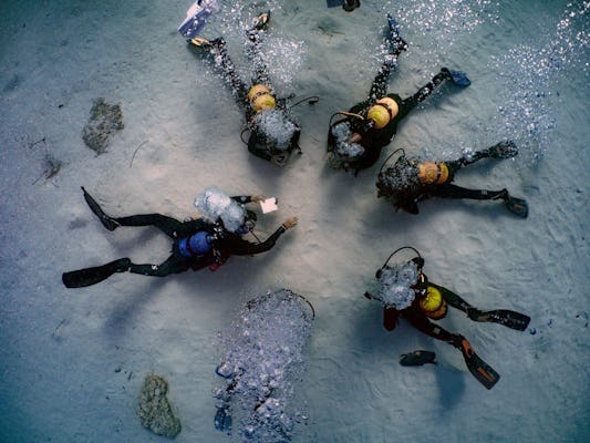 Kursy nurkowe na wodach otwartych Majorki ze Scuolo Water Sports