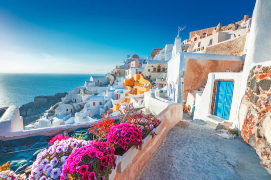 Small-Group Morning Sailing Cruise with BBQ, Drinks and Hotel Transfers