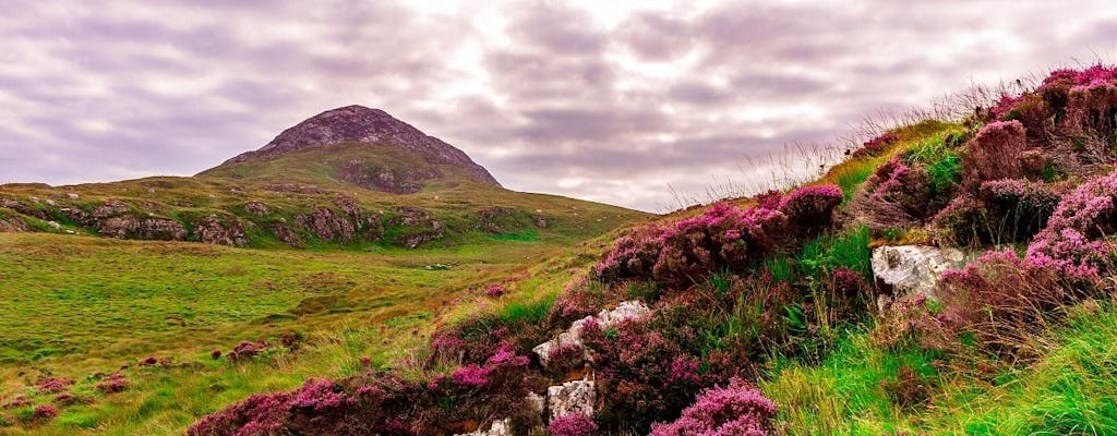 Excursión autoguiada de un día al Parque Nacional de Connemara desde la ciudad de Galway