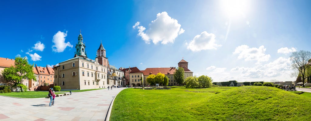 Biglietto salta fila per il castello di Wawel e tour privato della cattedrale