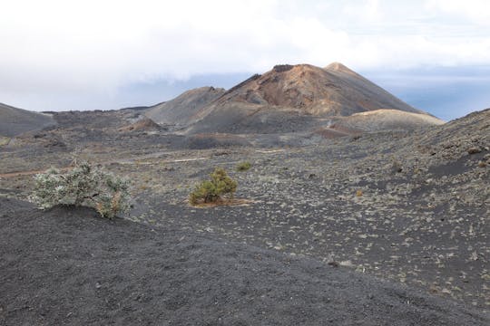 Teneguia Vulkan Wandertour mit Transfer
