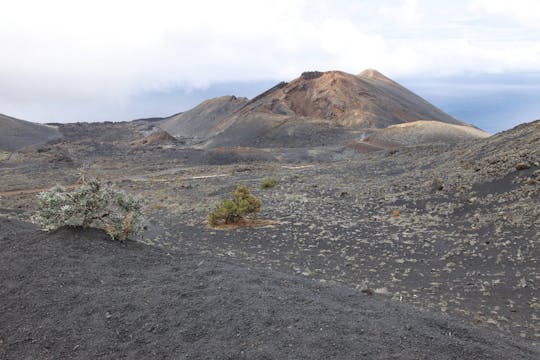 Teneguia Vulkaan Wandeling met Transfer
