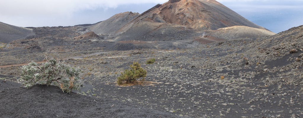 Teneguia Volcano Hiking Tour with Transfers