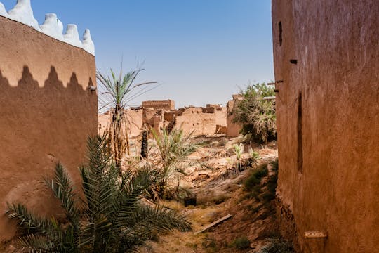 Excursão de um dia ao Al Qasab e Ushaiqer Heritage Village