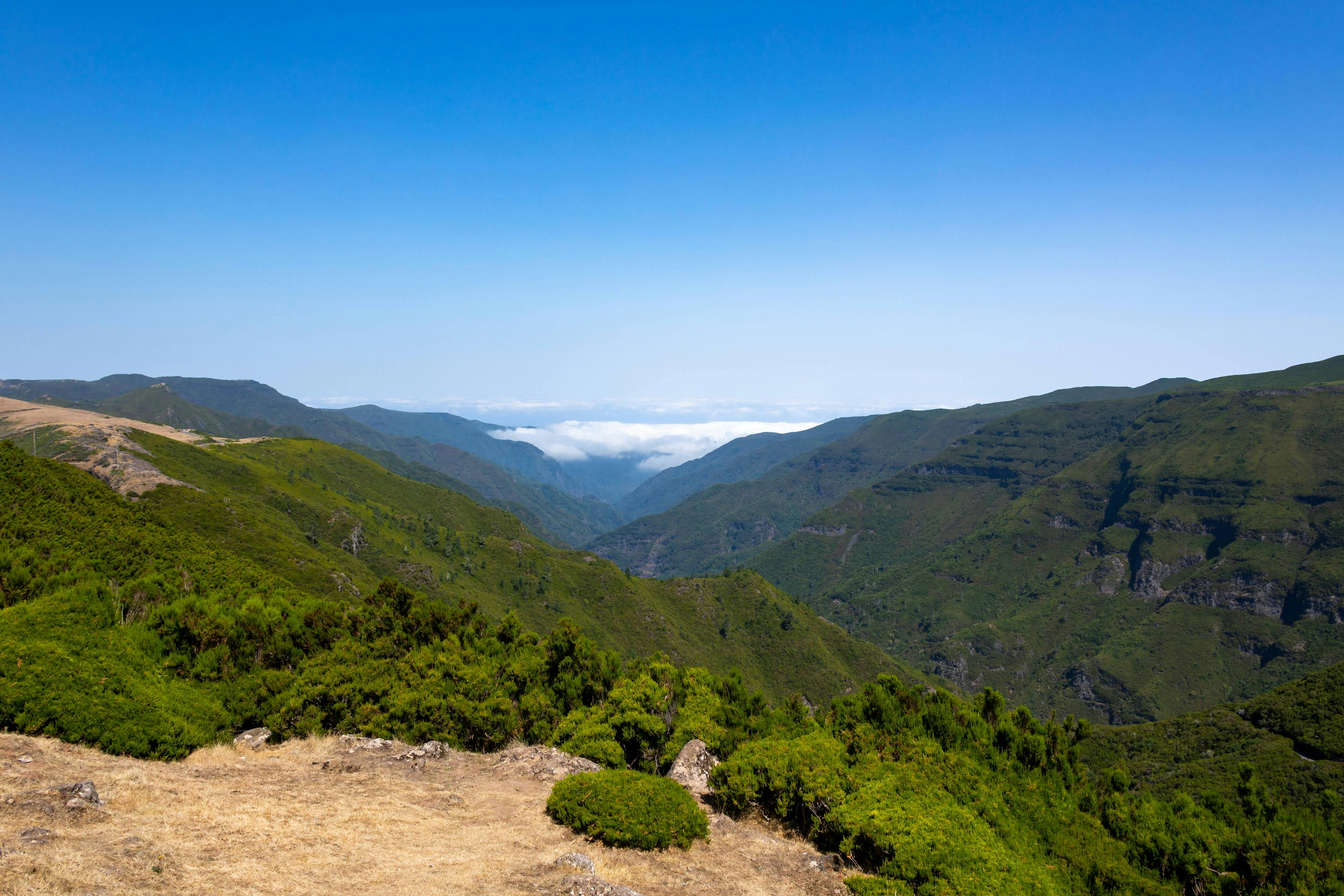 Fanal Assobiadores Walk