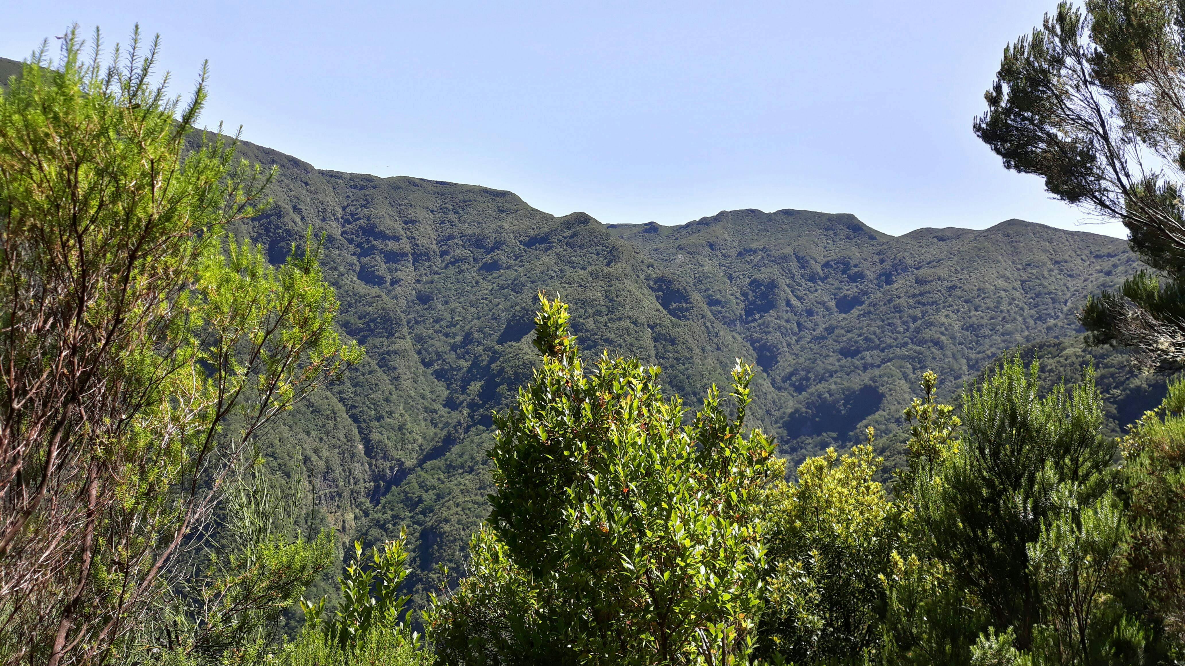 Fanal Assobiadores Walk