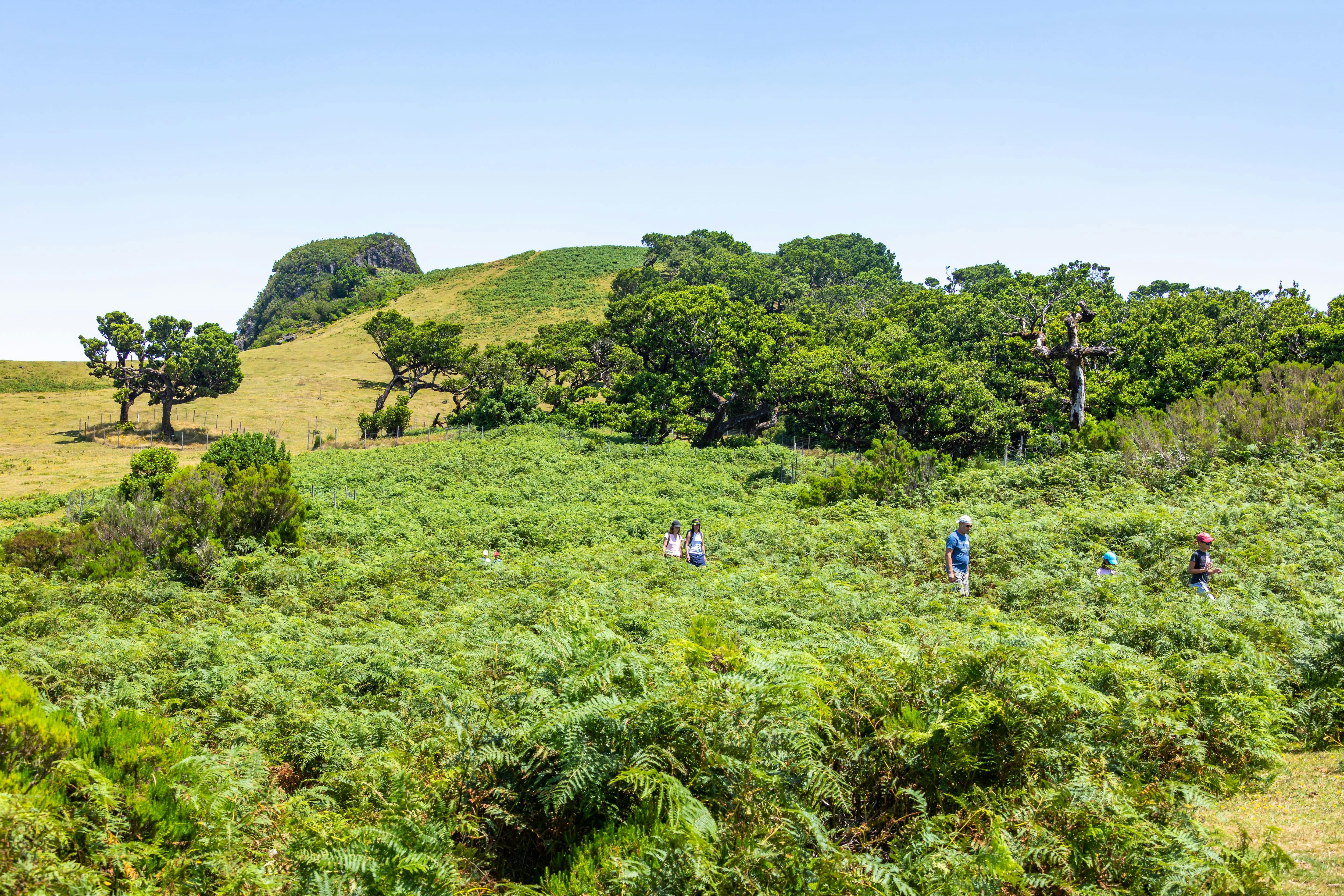 Fanal Assobiadores Wanderung