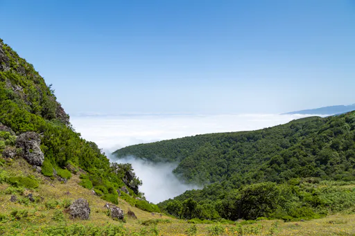Fanal Assobiadores Walk