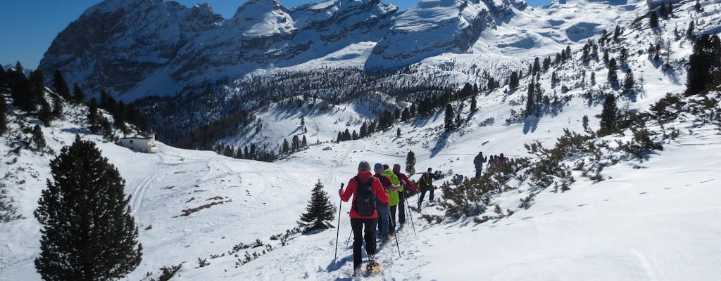 Schneeschuhwandern in Bergen