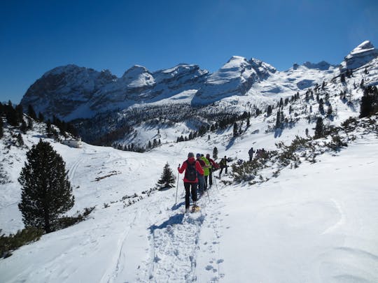 Sneeuwschoenwandelen in Bergen