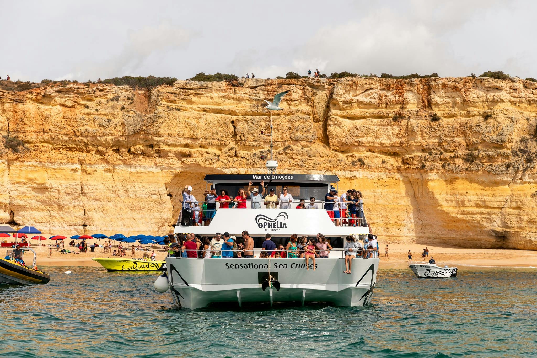 Ophelia Catamaran voor Families – Ticket